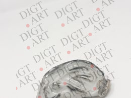 D's Ear