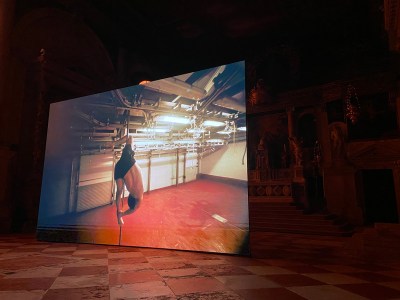 Venice Diary Day 3: Offsite Highlights Include Fleshy Films and Vegetarian Videos